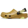Classic Clog Crocs Beach «Green»