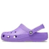 Classic Clogs «Purple»