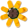 Colgantes Jibbitz™ de girasol de Lego®
