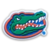 Colgantes Jibbitz™ de la Universidad de Florida