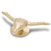 Colgantes Jibbitz™ de toro dorado