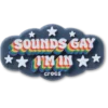 Colgantes Jibbitz™ «Sounds Gay Im In»