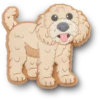 «Colgantes para zapatos Puppy Jibbitz™ Golden Doodle» «Colgantes para zapatos Puppy Jibbitz™ Golden Doodle»
